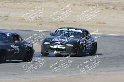 media/Nov-04-2023-CalClub SCCA (Sat) [[cb7353a443]]/Group 3/Cotton Corners (Race)/